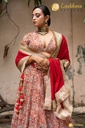 Lushkara Cotton Silk W/Thread Embroidery ; Georgette Shawl With Heavy Lace & Latkans (Red)