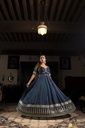 Lushkara Flowy Royal Blue Gown With Gold Border Lace