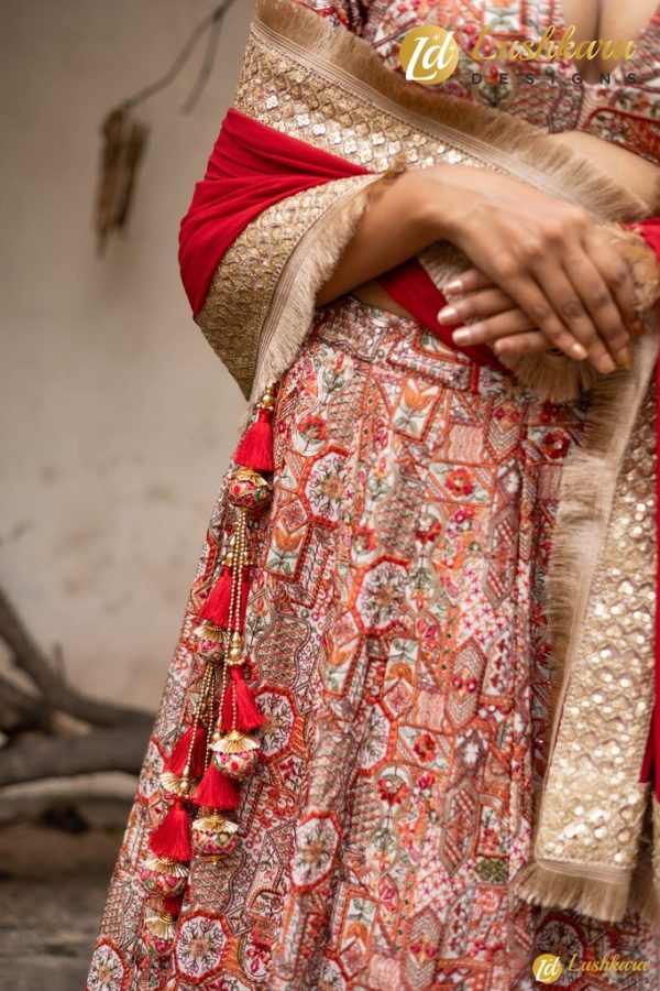 Lushkara Cotton Silk W/Thread Embroidery ; Georgette Shawl With Heavy Lace & Latkans (Red) - Image 3