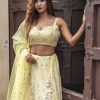 Lushkara Pastel Lehenga Light Yellow