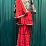 Lushkara Red Checkered Saree With Heavy Embroidered Blouse